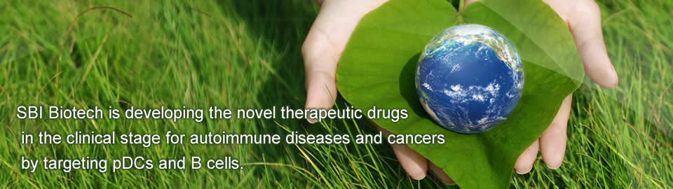 SBI Biotech is developing the novel therapeutic drugs in the pre-clinical stage for autoimmune diseases and cancers by targeting pDCs and B cells.