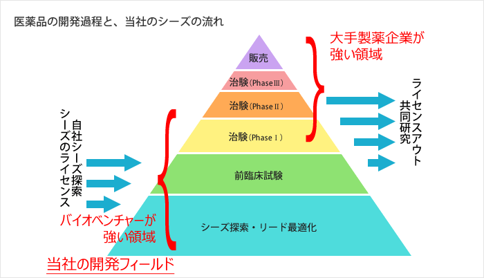 医薬品の開発過程と、当社のシーズの流れ