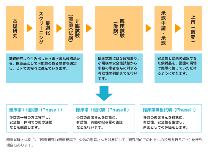 パイプラインが医薬品になる流れ