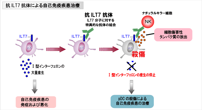 バイアグラには悪い副作用がありますか？